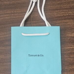 Tiffany & Co. Blue Gift Bag
